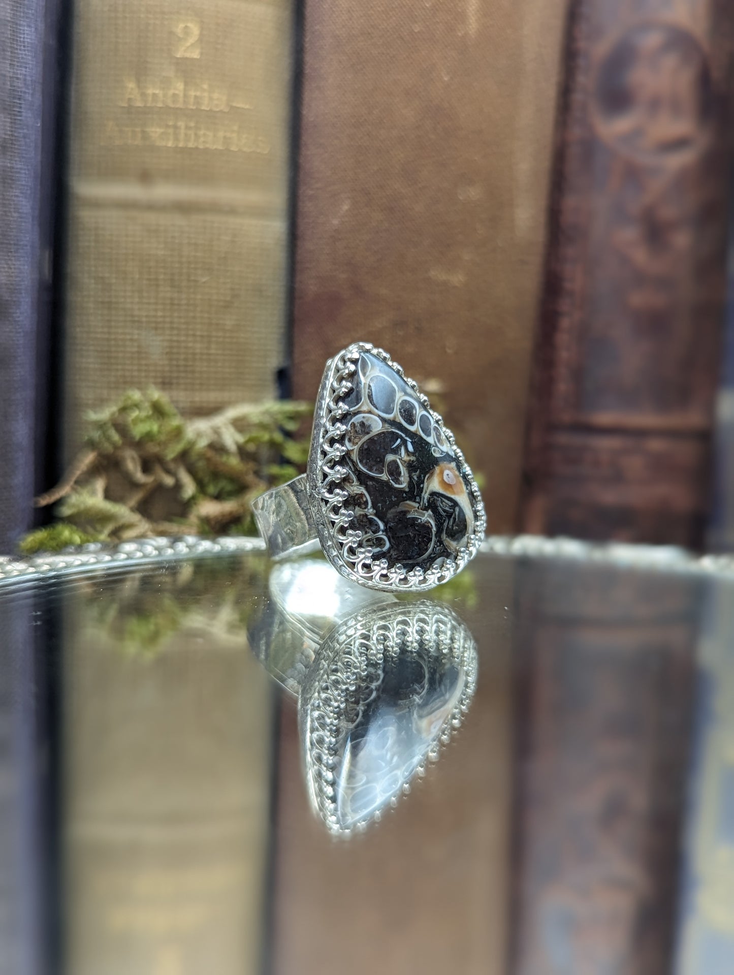 Turritella Agate - Size: 7.5 ✦ Ring