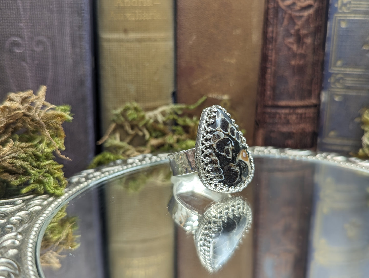 Turritella Agate - Size: 7.5 ✦ Ring