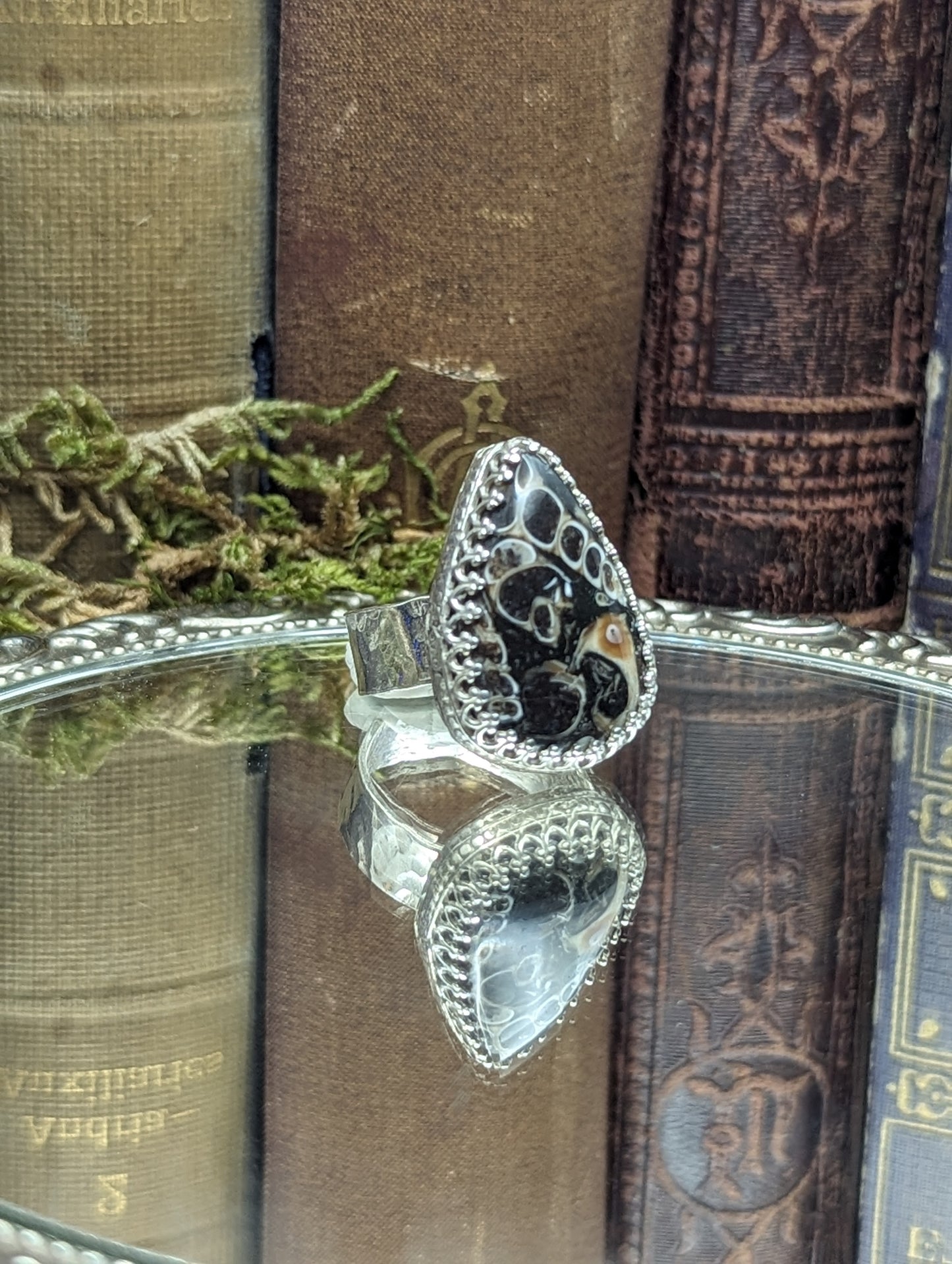 Turritella Agate - Size: 7.5 ✦ Ring