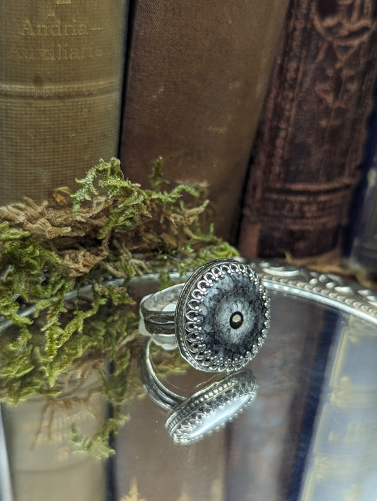 Ancient Crinoid Size 7.5  - ✦ Ring
